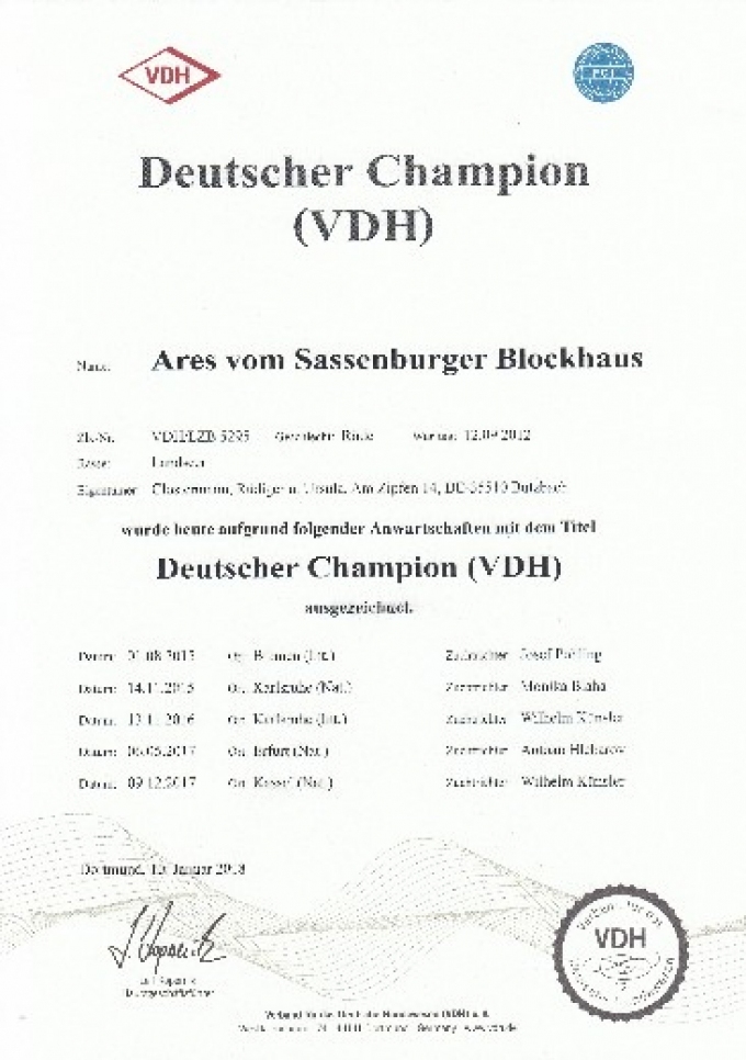 gallery/images-Deutscher-Champion-VDH
